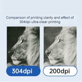 XBOSS L2 Kiçik Etiket Printeri - Portativ Mini Termal Yazıcı, Simsiz, Telefon və Planşet ün uyğun